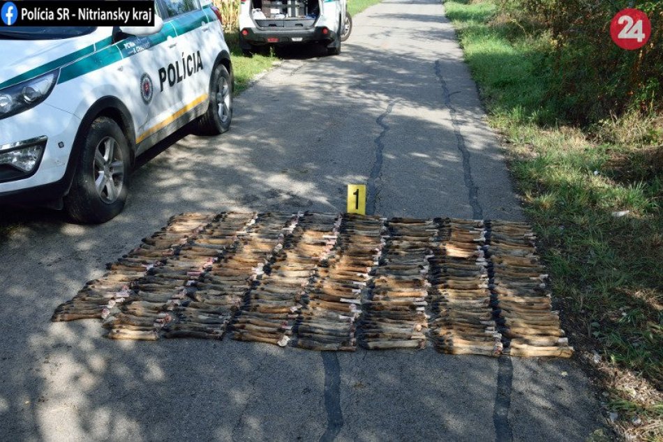 Ilustračný obrázok k článku Otrasný nález v okrese Nové Zámky: Poľovník objavil stovky zvieracích končatín, FOTO