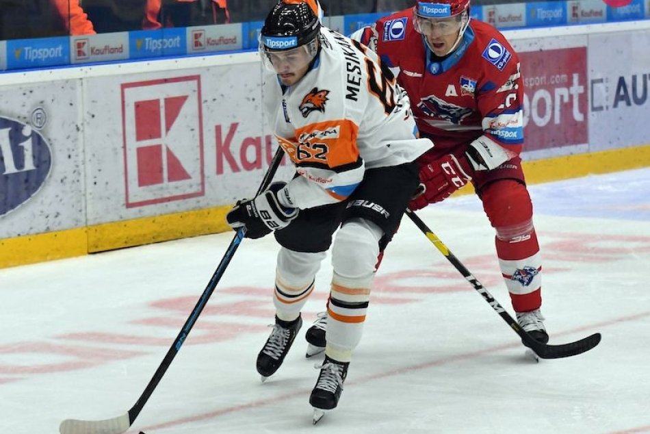 Ilustračný obrázok k článku Studená sprcha v úvode sezóny: Liptáci dostali v Michalovciach päťku, FOTO