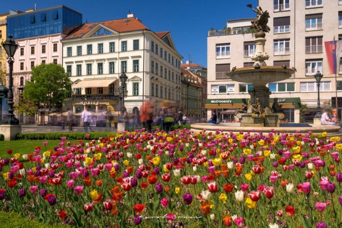 Ilustračný obrázok k článku Kvetinové záhony pred historickou budovou SND si „adoptoval“ hotel