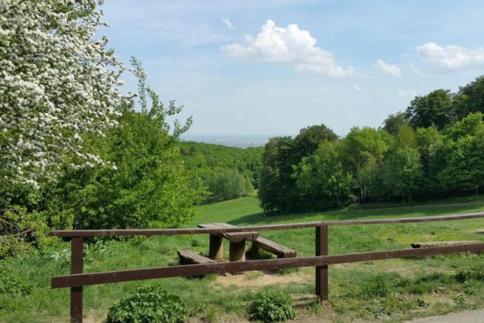 Ilustračný obrázok k článku Vznikne veľký bratislavský lesopark? Agrorezort má smelé plány