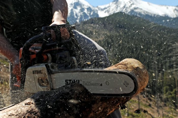 Ilustračný obrázok k článku Inovácia parku v Demänovej: Zo stromov odstránia suché konáre, VIDEO