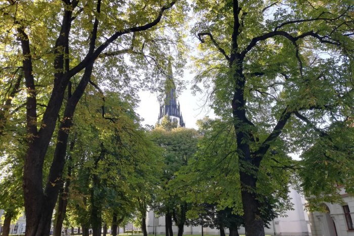 Ilustračný obrázok k článku Toto sú top lákadlá víkendu v Spišskej Novej Vsi: Pozor, aby vám neušli