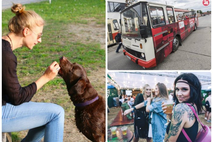 Ilustračný obrázok k článku Kam v Bratislave zadarmo: Spoznajte tajomstvá kokteilov a kváskovania a tiež silu koní pod kapotou!