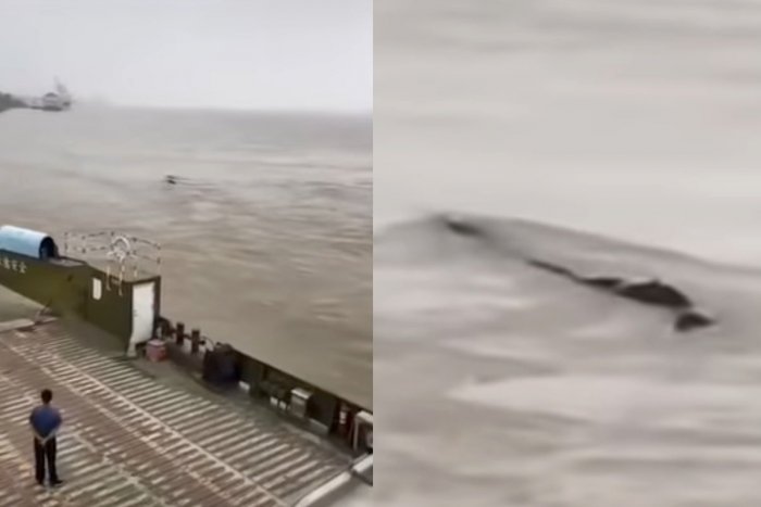 Ilustračný obrázok k článku KURIOZITA DŇA: Neďaleko priehrady uvideli záhadné 20-metrové vodné monštrum