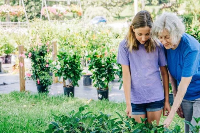 Ilustračný obrázok k článku Aj na dôchodku si môžete užívať vďaka Senior kontu