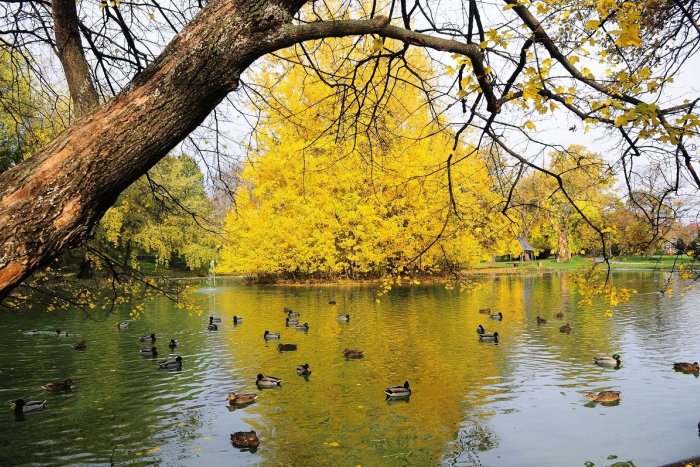 Ilustračný obrázok k článku Už prišla astronomická jeseň. Tak si pripravte cesnak, pohár vína a bylinky