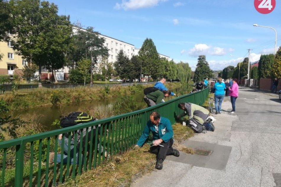 Ilustračný obrázok k článku Mlynský náhon je krajší, dobrovoľníci natreli plot, FOTO