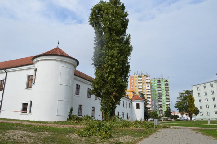 Ilustračný obrázok k článku Šaľa začala s jesennými prácami: Radnica skrášľuje zeleň aj chodníky, FOTO
