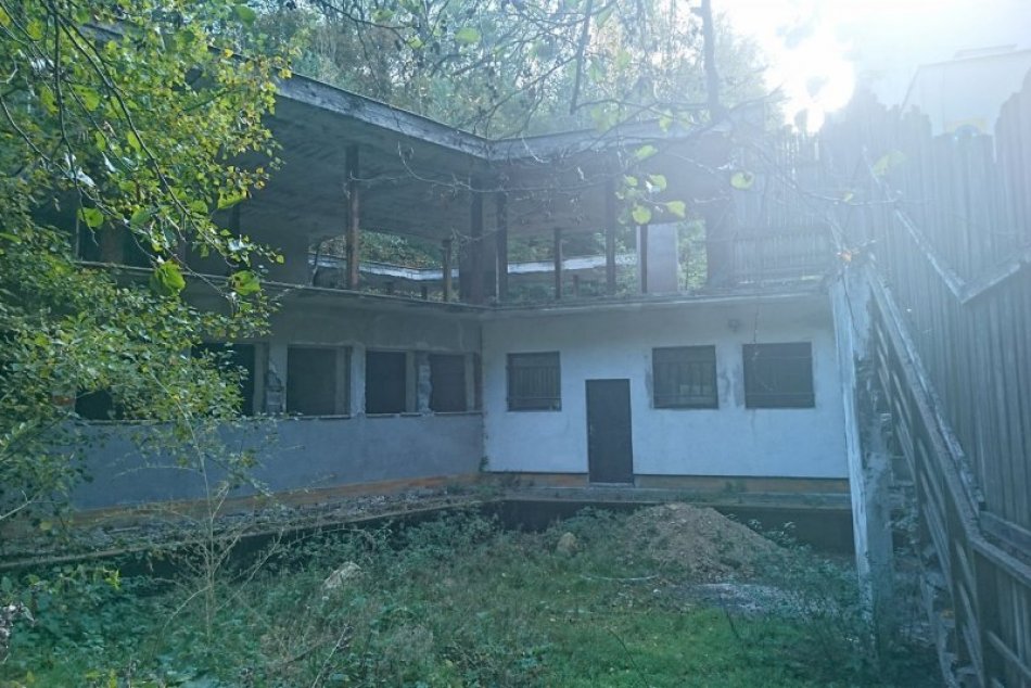 Ilustračný obrázok k článku Do súťaže o novú Snežienku sa prihlásilo 13 uchádzačov