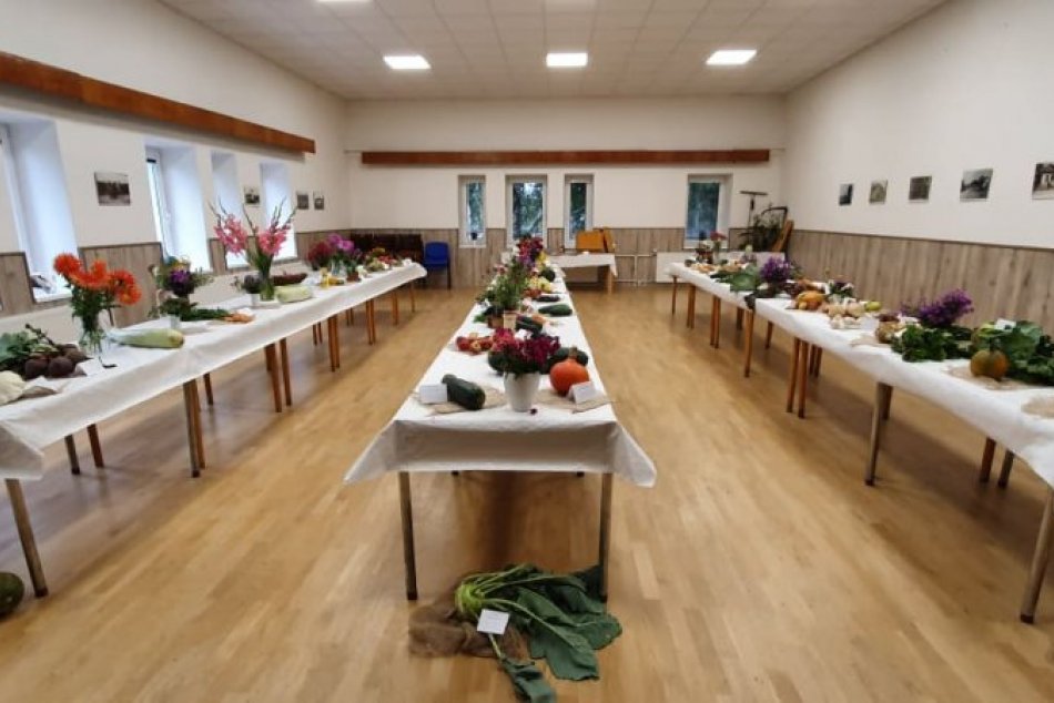 Ilustračný obrázok k článku Netradičné ovocie a zelenia v Ondrašovej: Zemiaky z kvetináča či indická uhorka? FOTO