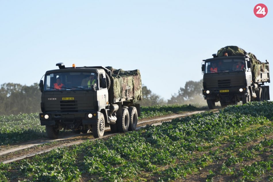 Ilustračný obrázok k článku Čulý ruch na mieste pádu stíhačky: Vrak MiG-29 prevážajú na letisko po častiach