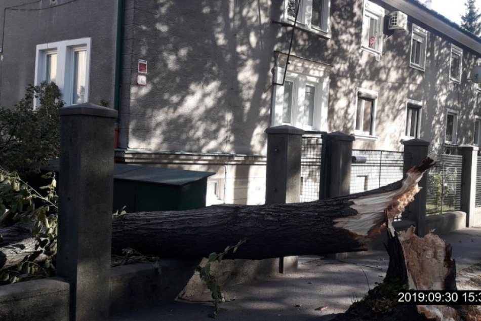 Ilustračný obrázok k článku Veterná smršť zasiahla aj Nové Zámky: Zasahovať musela aj mestská polícia, FOTO