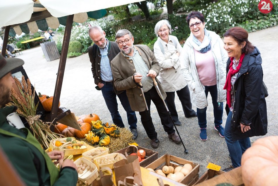 Ilustračný obrázok k článku Jesenná slávnosť na zámku Schloss Hof vás nadchne pútavým programom