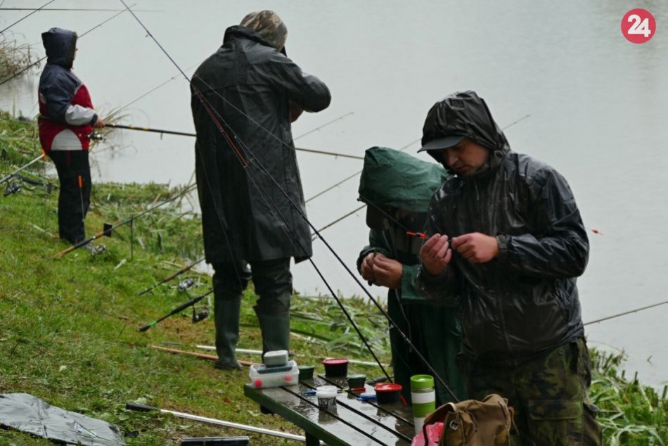 Ilustračný obrázok k článku Kauza predaja považskobystrických rybníkov: Polícia začala trestné stíhanie
