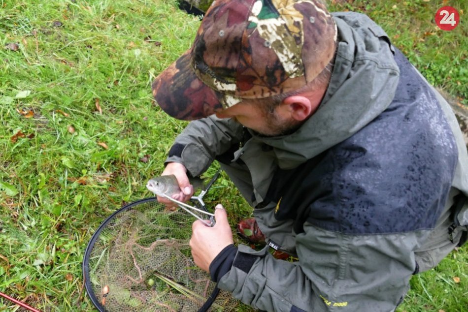 Ilustračný obrázok k článku V kauze predaja rybníkov v Považskej Bystrici ani po pol roku nikoho neobvinili