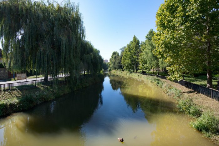 Ilustračný obrázok k článku Z Mlynského náhonu vylovia ryby a pokosia brehy