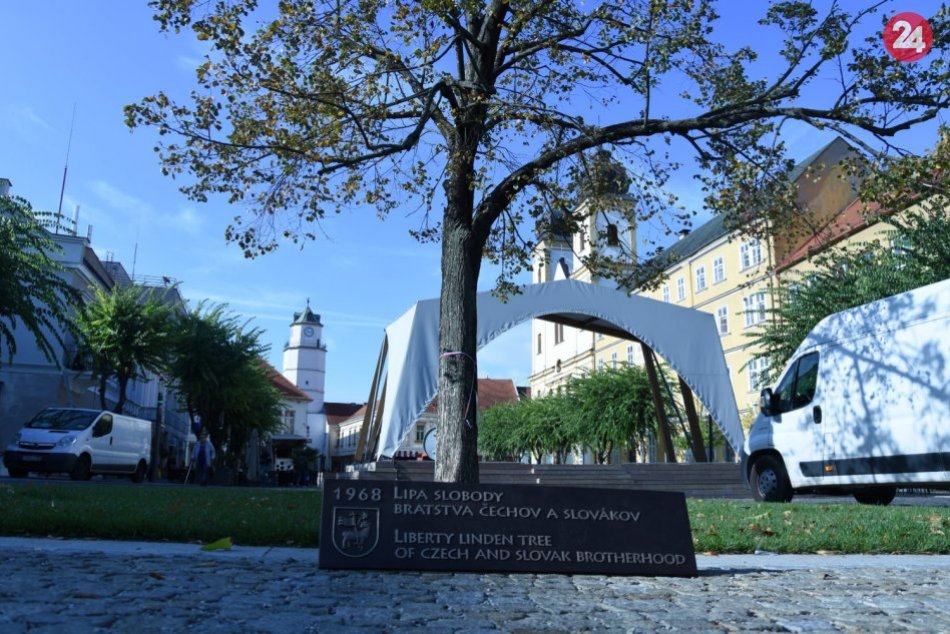 Ilustračný obrázok k článku Patrí k symbolom trenčianskeho námestia: Posadili ju v pohnutých časoch, FOTO