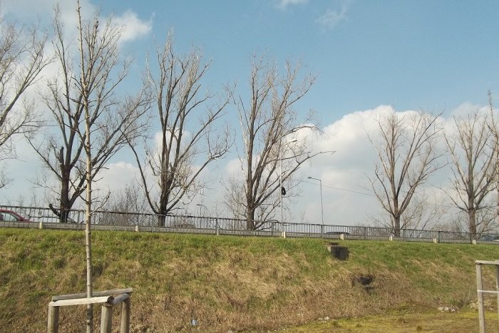 Ilustračný obrázok k článku Šaliansky obchvat stále nemá dodávateľa: Cestári ho vyberajú takmer pol roka