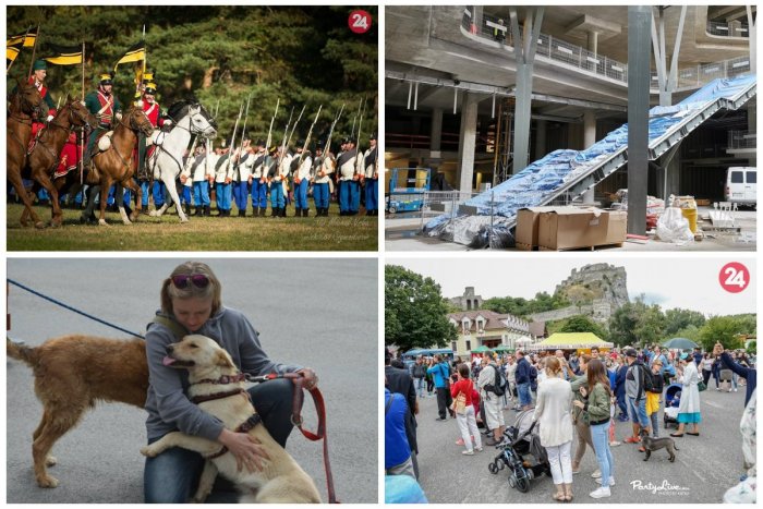 Ilustračný obrázok k článku Kam v Bratislave zadarmo: Na svoje si prídu gurmáni, milovníci histórie aj rozkošných chlpáčov