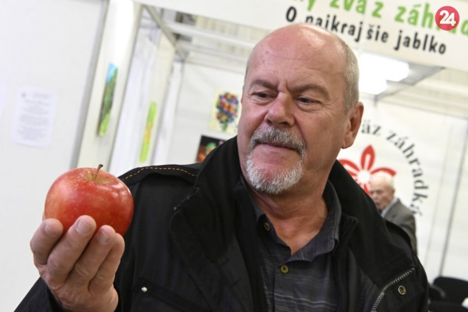 Ilustračný obrázok k článku Chutné a šťavnaté: Vybrali najkrajšie jabĺčko Slovenska, FOTO