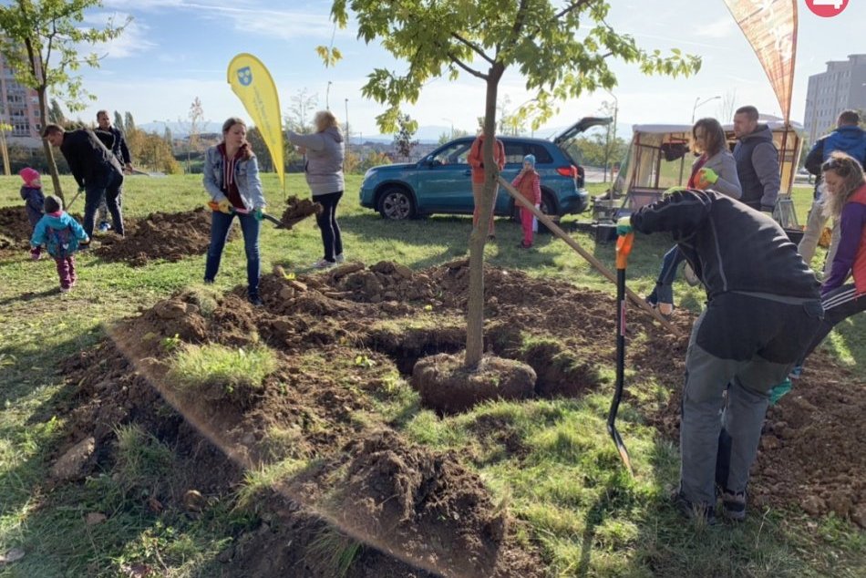 Ilustračný obrázok k článku Sídlisko KVP bude zelenšie, obyvatelia vysadili desiarky stromov, FOTO A VIDEO
