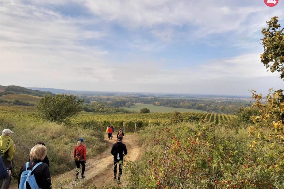 Ilustračný obrázok k článku Turistika, víno, kultúra i zábava: Putovanie vinohradmi dopadlo na výbornú, FOTO