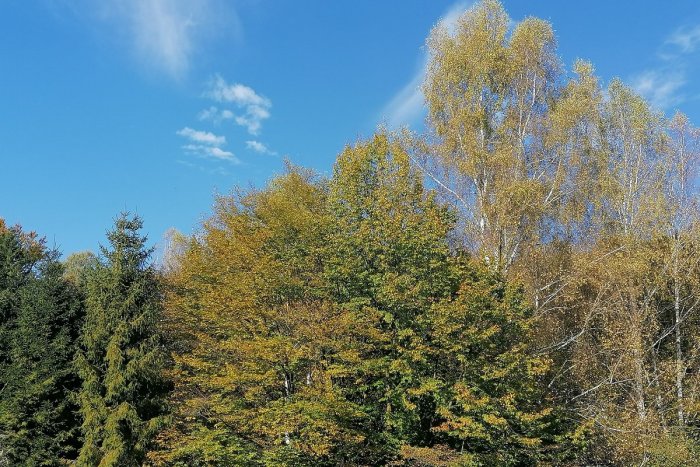 Ilustračný obrázok k článku Začína nám Tereziánske babie leto. Október s pranostikami