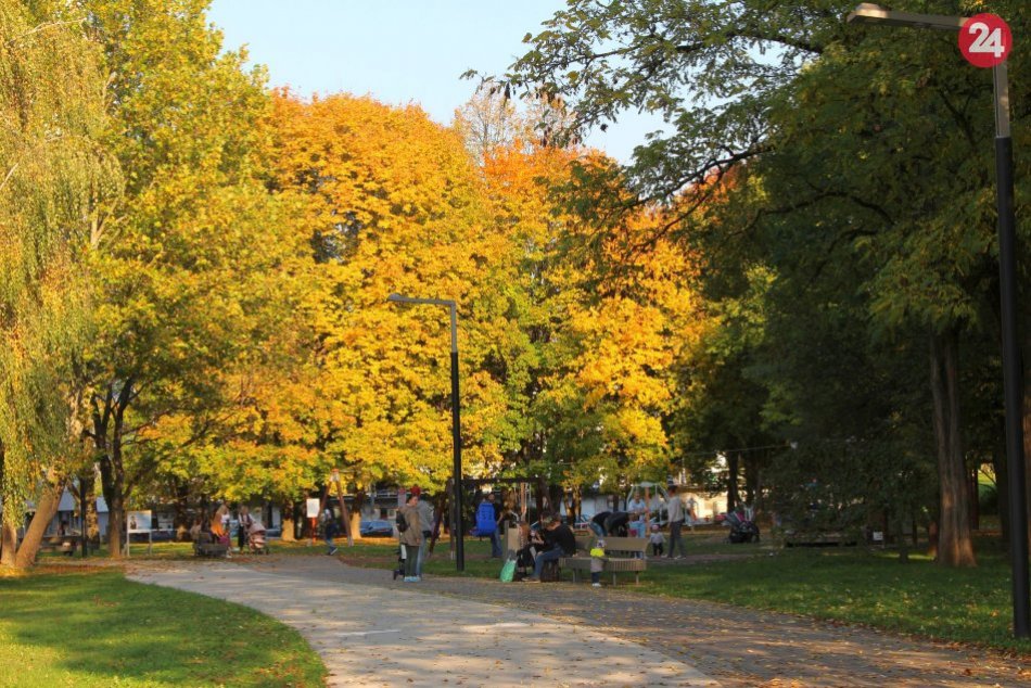 Ilustračný obrázok k článku Víkend v Bystrici nabitý lákadlami: Na svoje si prídu milovníci mačiek aj šarkanov