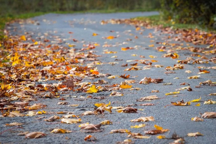 Ilustračný obrázok k článku Studený front prinesie zrážky: Babie leto však nekončí, teploty budú vysoké