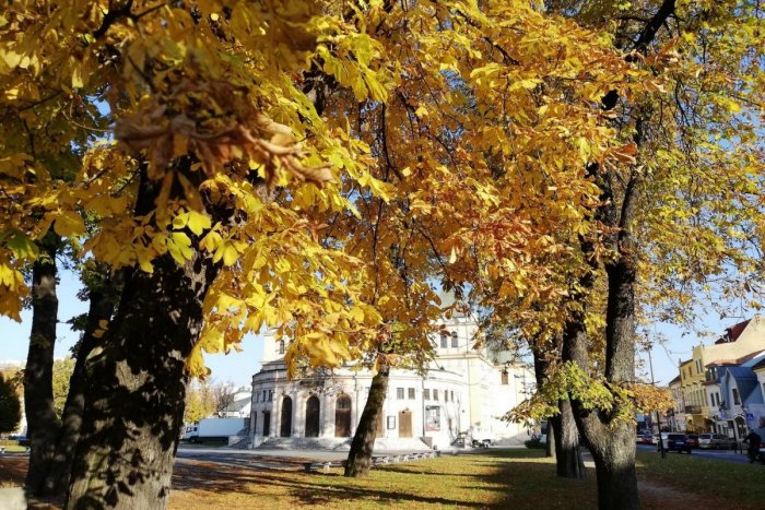 Ilustračný obrázok k článku Strašidelná noc v ZOO či aktívny oddych na zimáku v Spišskej: Kam počas víkendu?