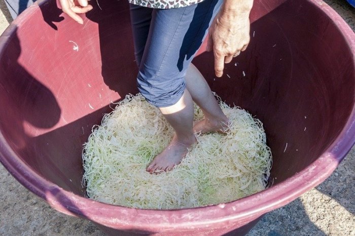 Ilustračný obrázok k článku Ste pekná a slobodná? Nezúfajte, na Zemplíne by ste boli ideálna do kyslej kapusty, VIDEO