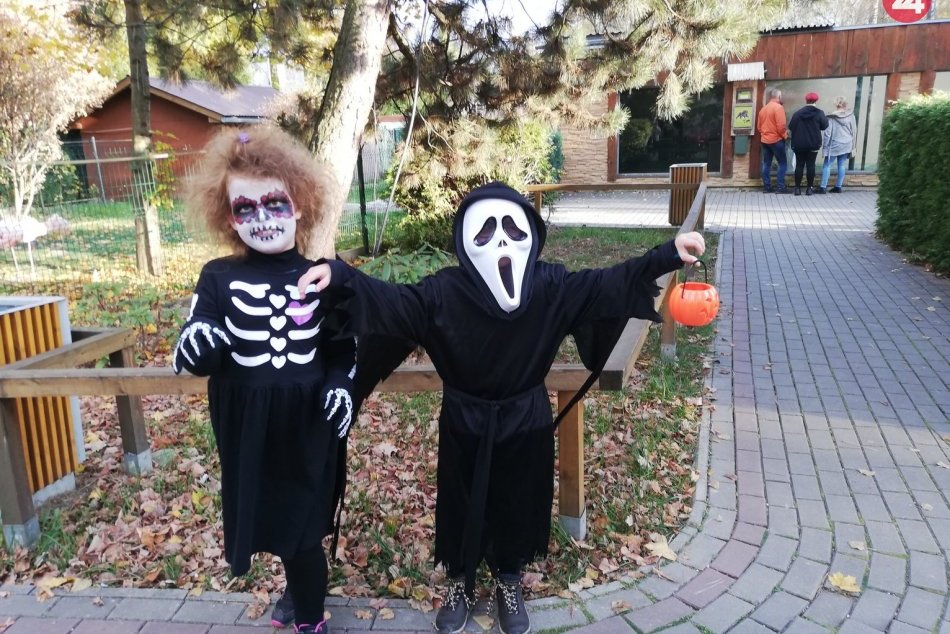 Ilustračný obrázok k článku Tradičné podujatie v novoveskej ZOO: Strašidelná noc ukončila hlavnú sezónu, FOTO