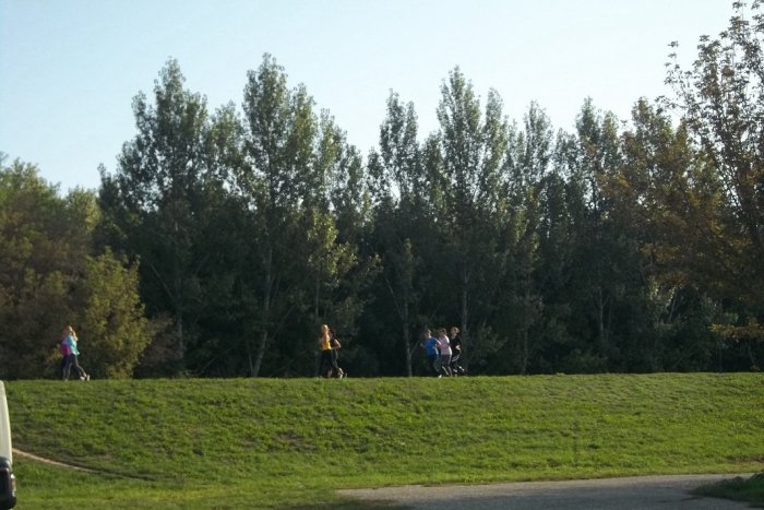 Ilustračný obrázok k článku Zimný prístav v Šali by mohol zmeniť podobu: Pribudne nový rekreačný areál?