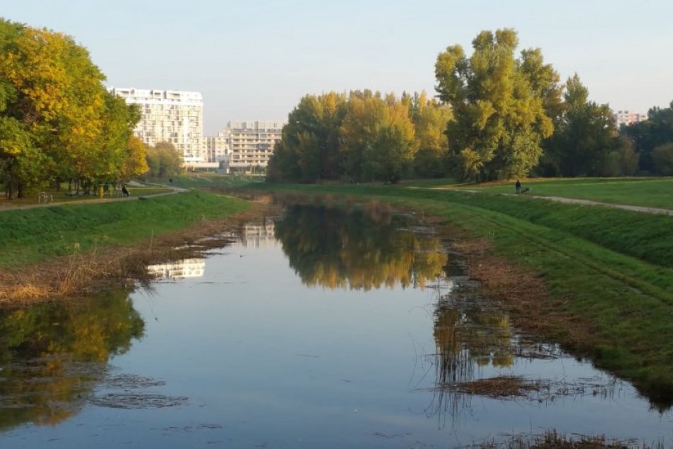 Ilustračný obrázok k článku Chorvátske rameno už nezakrýva rákosie. Muselo ustúpiť vzácnym druhom rastlín