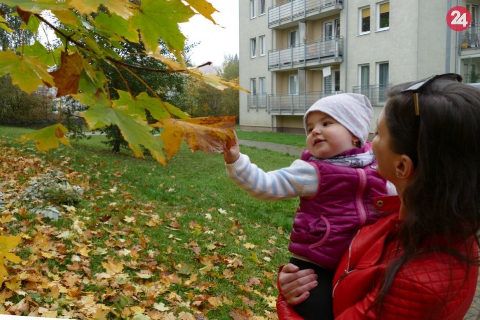 Ilustračný obrázok k článku Žilinské mamičky v tom majú jasno: Tieto lokality počas jesene radi navštevujeme, FOTO