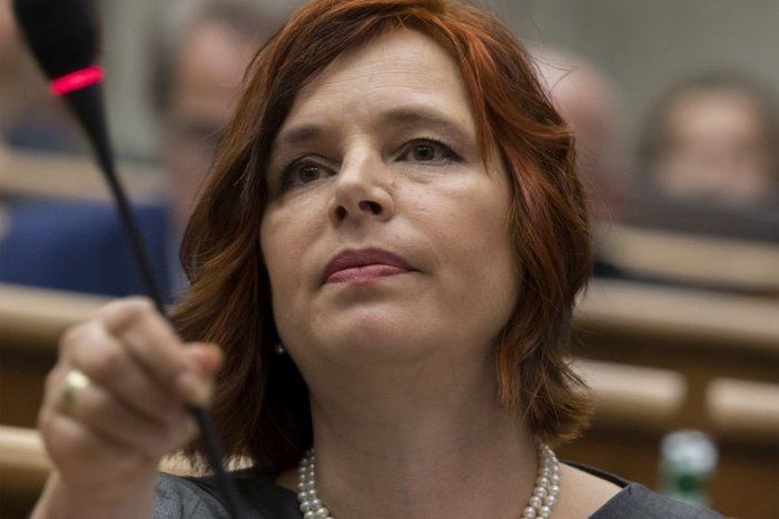 Ilustračný obrázok k článku V. Remišová podáva podnet na finančnú políciu: Chce, aby preverila majetok M. Jankovskej