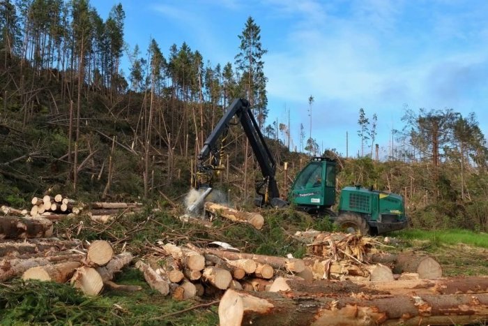 Ilustračný obrázok k článku Tatranská Lomnica: Odborníci predstavili výsledky pokalamitného výskumu