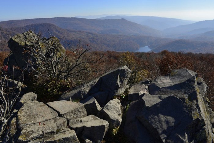 Ilustračný obrázok k článku CHKO Vihorlat má novú riaditeľku: Vybrali dlhoročnú zoologičku z nášho okresu