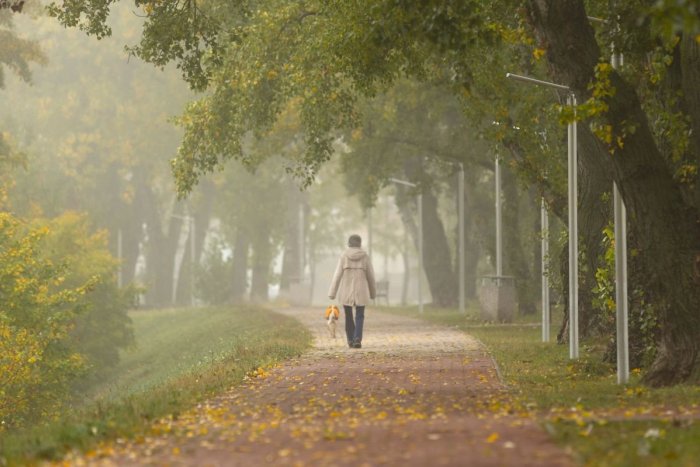 Ilustračný obrázok k článku RANNÁ ŠTVORKA: V sobotu bude polooblačno a ojedinele hmla, teploty do 11 stupňov