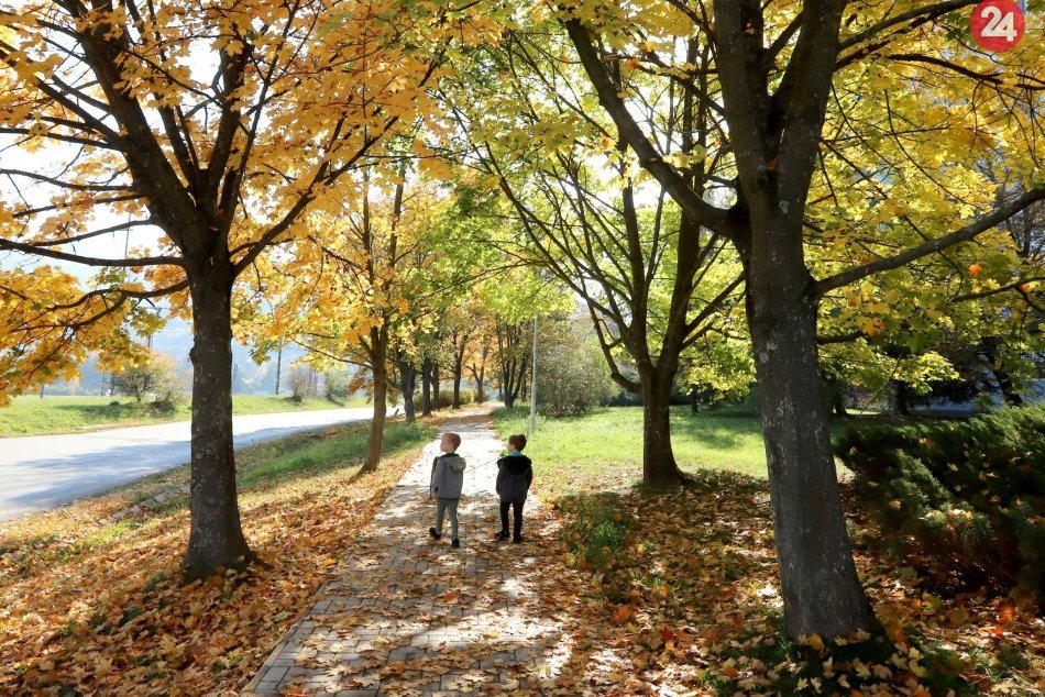 Ilustračný obrázok k článku Zvolen sa odel do farieb. Krásy babieho leta zachytené na FOTKÁCH