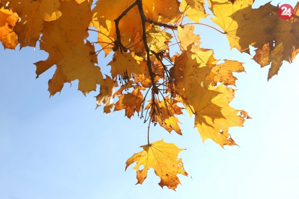 Ilustračný obrázok k článku Nočné mrazy pominú: Cez víkend príde oteplenie, pribudnú aj zrážky