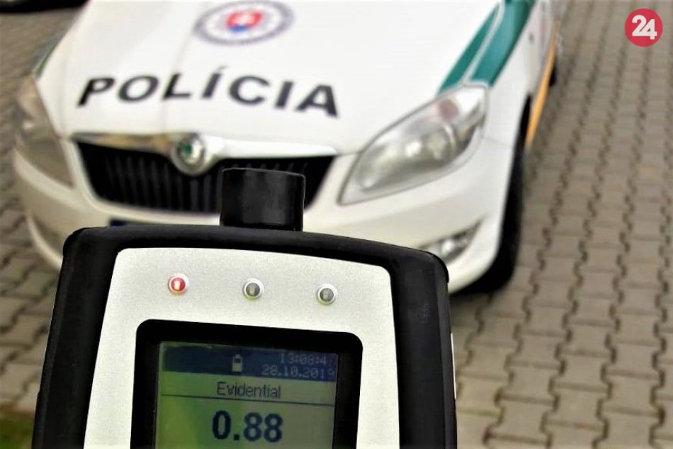 Ilustračný obrázok k článku Mira (48) z okresu Trenčín zadržali policajti: Neminulo ho obvinenie, FOTO