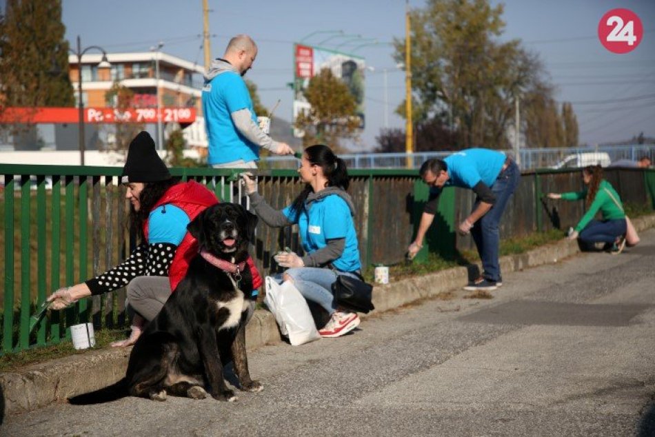 Ilustračný obrázok k článku Dobrovoľníci z magistrátu a mestských podnikov opäť natierali plot pri Mlynskom náhone, FOTO