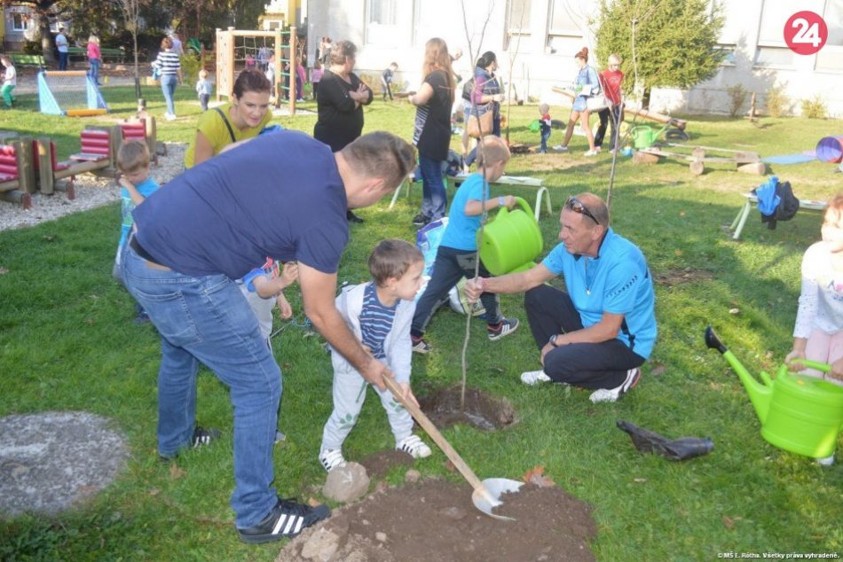 Ilustračný obrázok k článku Krásny počin detičiek a ich rodičov: Spoločne vysadili rôzne stromy, FOTO