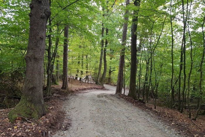 Ilustračný obrázok k článku V Rači vzniká nová prechádzková trasa, ktorá vás zavedie k horárni v Krasňanoch