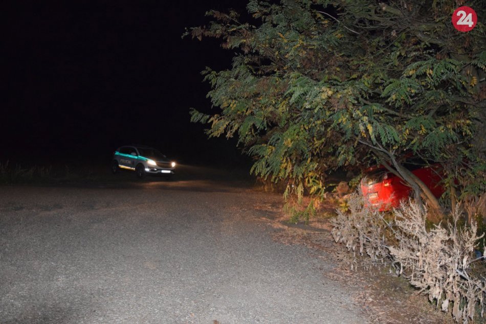 Ilustračný obrázok k článku Cez sviatky úradoval alkohol: Na cestách v Nitrianskom kraji nafúkalo 42 ľudí