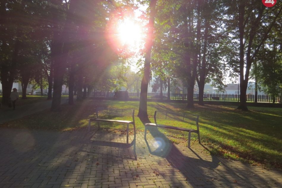 Ilustračný obrázok k článku Boj mesta s obrovským množstvom hniezdiacich havranov v mestskom parku