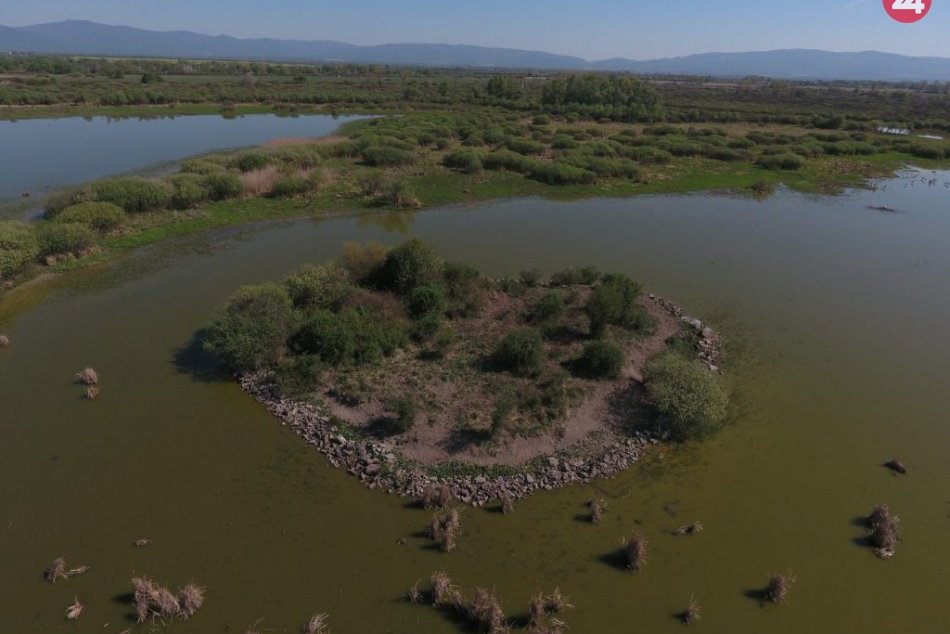 Ilustračný obrázok k článku Novinka na Senianskych rybníkoch: Ukrytý ostrov pred zrakom návštevníkov, FOTO