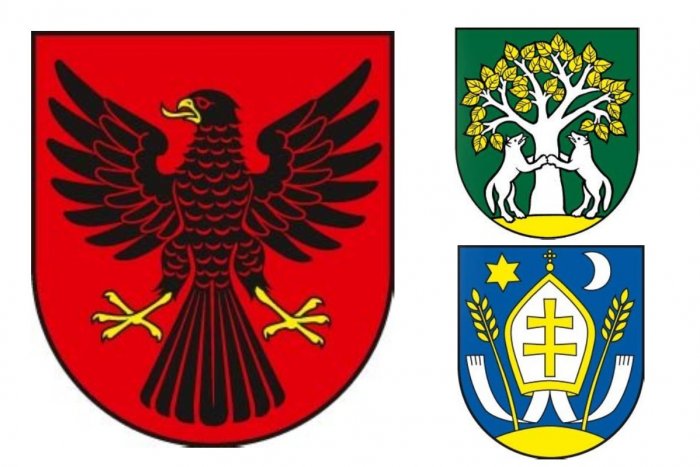 Ilustračný obrázok k článku HLASOVANIE: Kráľovná, trnky aj mitra: Vyberte najkrajší erb obce Šalianskeho okresu