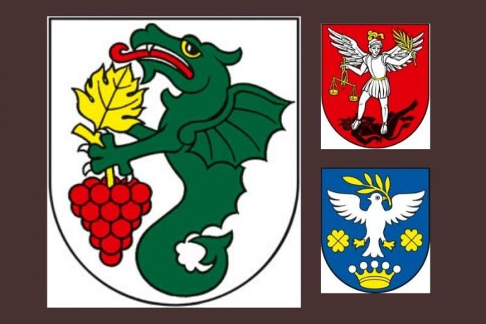 Ilustračný obrázok k článku HLASOVANIE: Zlatý lev, drak i vínna réva: Vyberte najkrajší erb obce okresu Nové Zámky